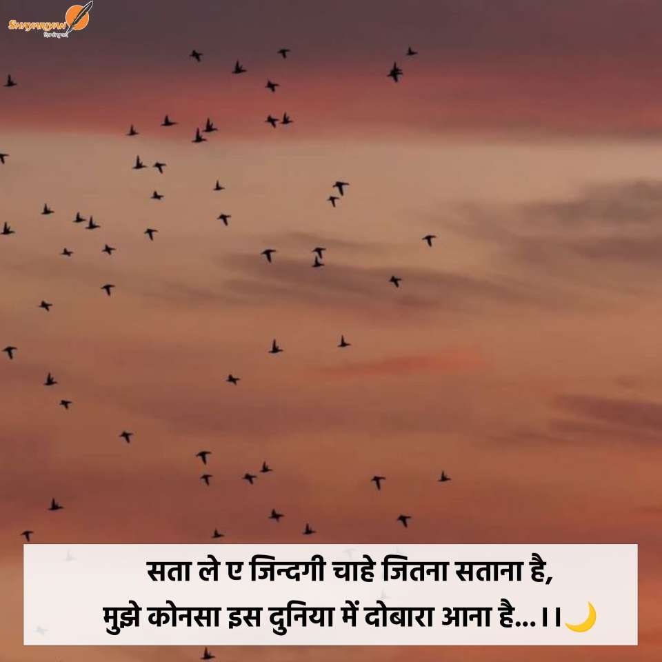 sad life shayari